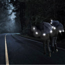 Euroschirm Light Trek Automatic Umbrella - Reflective