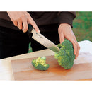 Snow Peak Field Kitchen Knife Santoku 戶外主廚刀 GK-019