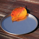 EVERNEW 多功能鈦碟 mulTidish EBY280