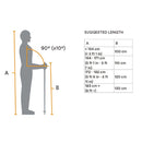 Black Diamond Distance Carbon FLZ Trekking Poles 112537 碳纖摺疊行山杖