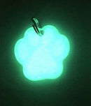 UV Paqlite Glow Pet Tag