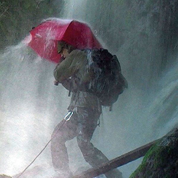 EuroSchirm Birdiepal Outdoor Trekking Umbrella 高強度抗風直柄雨傘