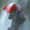 EuroSchirm Birdiepal Outdoor Trekking Umbrella 高強度抗風直柄雨傘