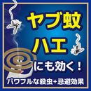 金鳥の渦巻 ハエにも効く 太巻