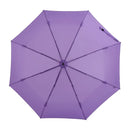 AMVEL VERYKAL 8 Auto Open & Close Umbrella 自動開合縮骨遮