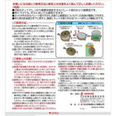 金鳥の渦巻 Mosquito Coils Case (Large)