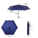 AMVEL VERYKAL Large 加大極輕一鍵自動開合縮骨遮