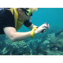 Aryca Floating Lanyard 浮水手帶