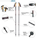 Black Diamond Alpine Carbon Cork Trekking Poles Women's