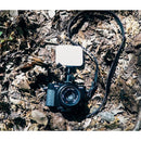 Claymore Ultra Mini Outdoor Lantern CLC-401BK/DG/RD