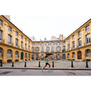 INCYLENCE Globes High Cut Running Socks 跑步襪