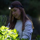 LEDLENSER H5R Core Headlamp 500流明可調焦距磁吸充電頭燈