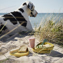 Light My Fire LunchKit™ Bio 6pcs 戶外餐具套裝