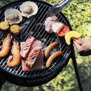 Captain Stag Rock Salt Plate M-9420 岩鹽板