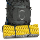 Osprey Aether Plus 100 Backpack 