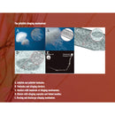 Safe Sea Anti-Jellyfish Sting Protective SPF50+ Sunscreen Lotion 防水母螫傷SPF50+防曬乳(海洋友善配方)