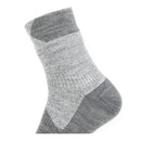 Sealskinz Waterproof All Weather Ankle 全天候防水襪 (中低筒)