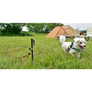 Snow Peak Dog Anchor 50  PT-032 寵物帶固定營釘