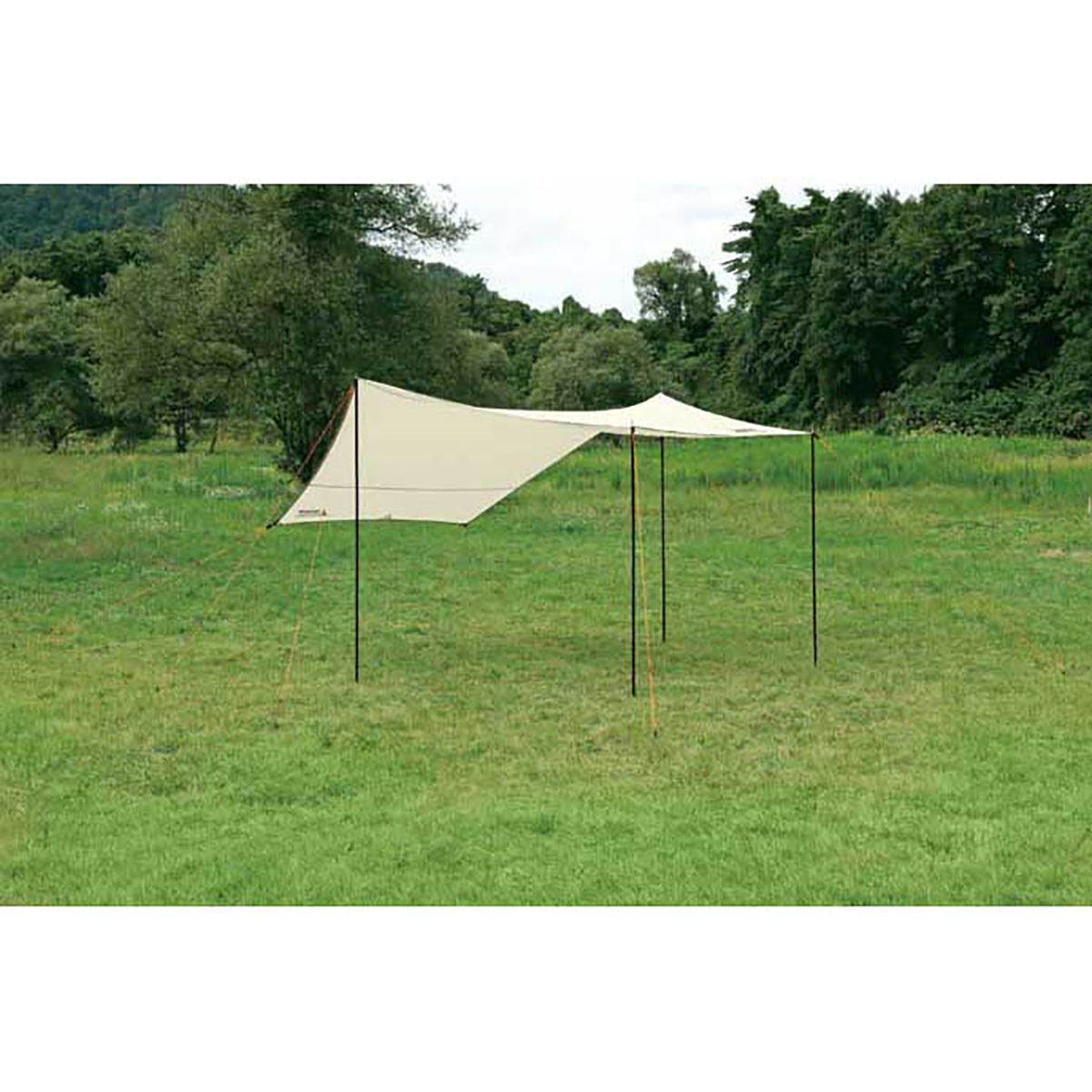 CAPTAIN STAG Hexagon Tarp 400×420×220cm CAPTAIN STAG Hexagon Tarp 400×420×220cm Amazon.com: Captain Tag