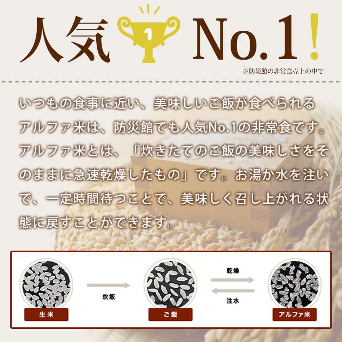 Onisi Japan Alpha Rice Instant Rice - Dried Curry