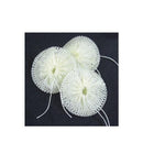 SOTO Compact Mantle OD-MTC2 充氣式營燈專用燈紗 (3個裝)