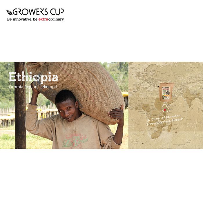 Grower's Cup The CoffeeBrewer - Ethiopia Organic