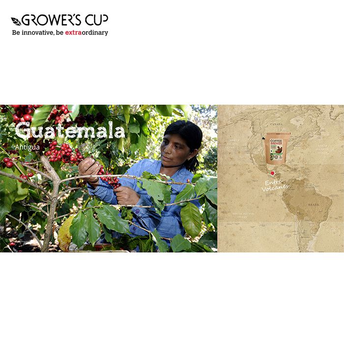 Grower's Cup The CoffeeBrewer - Guatemala Organic 隨身濾泡咖啡 戶外咖啡 露營咖啡 (危地馬拉)