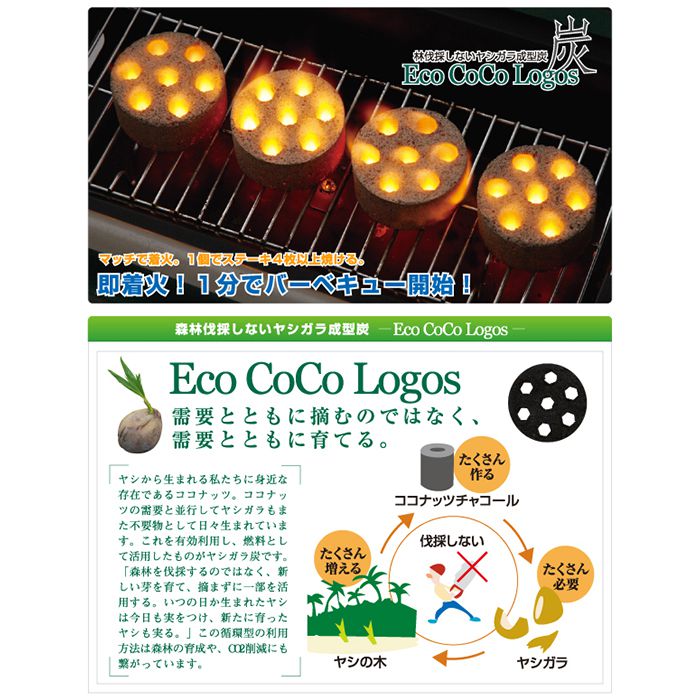 LOGOS Eco Coco 4pcs 椰子炭 (小)(4個裝) (只限門市購買,不設送貨)