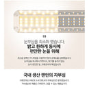 Claymore Multi Face Outdoor Lantern 戶外營燈