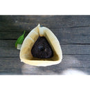 Tetra Drip Plastic Folding Dripper